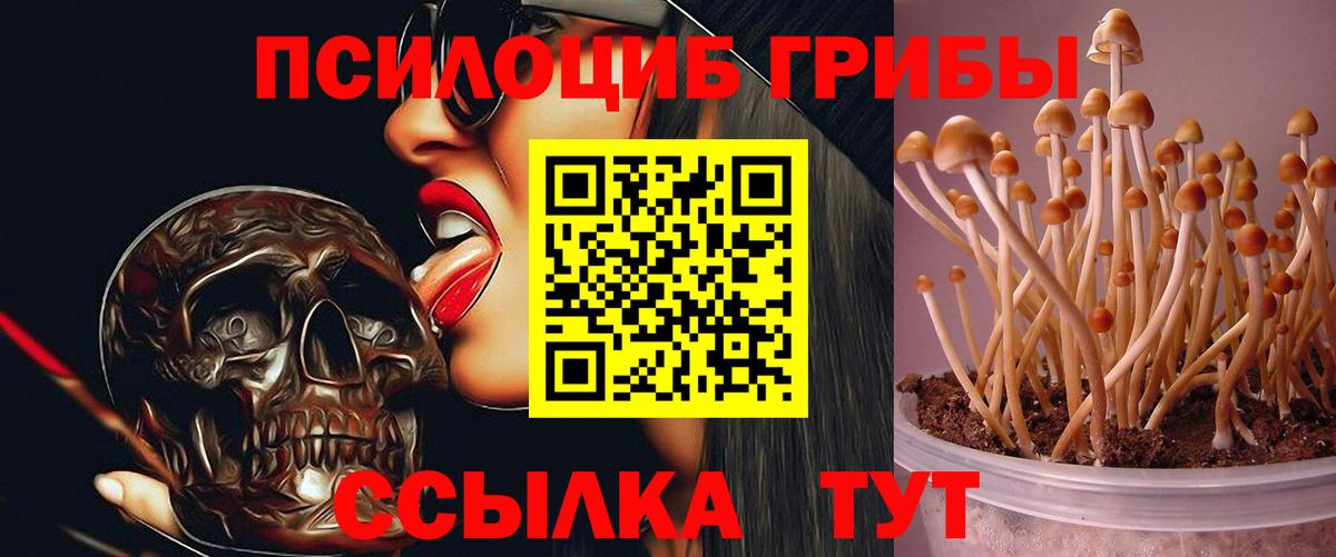 Псилоцибиновые грибы ЛСД  Галлюциногенные грибы мухоморы  Вход с VPN  Лабинск 