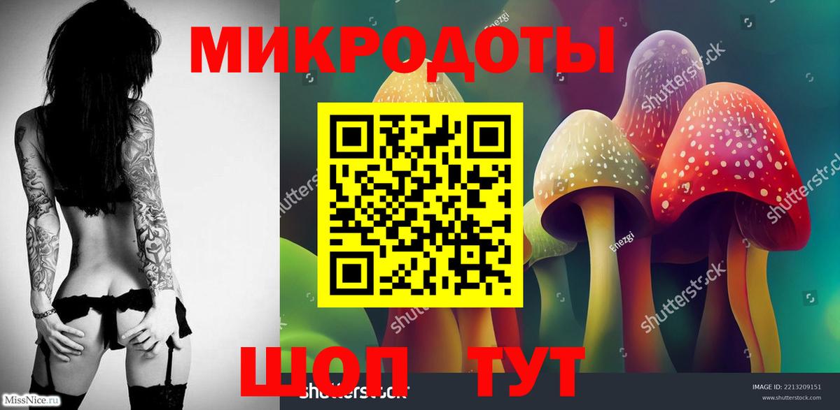 Псилоцибиновые грибы Psilocybe Лабинск